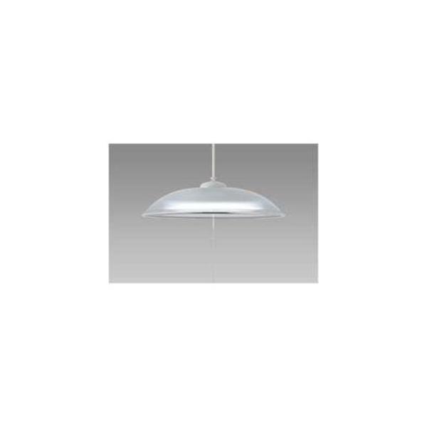 �z�^���N�X HCDB0853-X LED�y���_���g���C�g�i�`8��j �����F �X���[�N