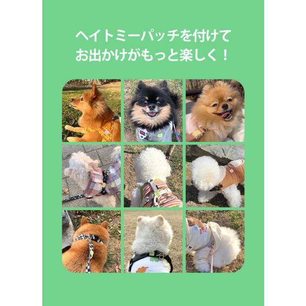 BITE ME �o�C�g�~�[ �w�C�g�~�[ �p�b�` 24�����b�� ������ ��悯 �V�[�� ���U�� �V�g���l���I�C�� �\�邾�� �ȒP �R���p�N�g �؍� ���i�摜3