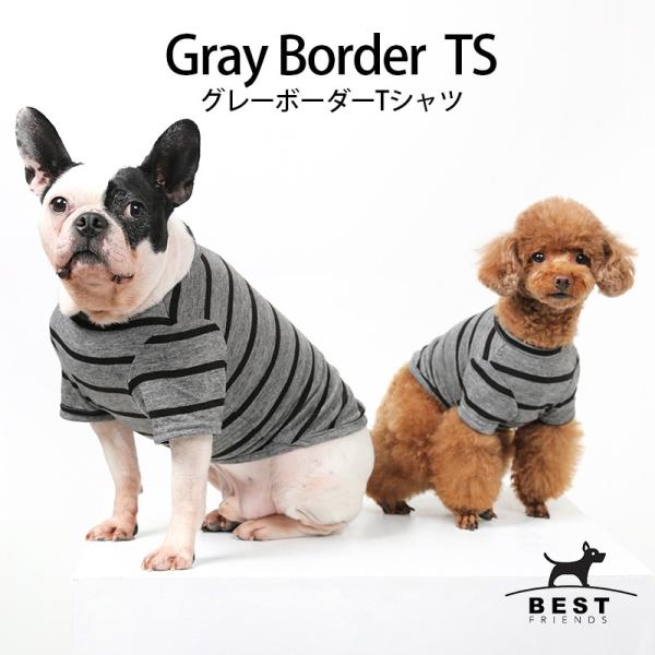 ベストフレンズ BFボーダーグレーTシャツ S M L XL｜犬服 犬の服