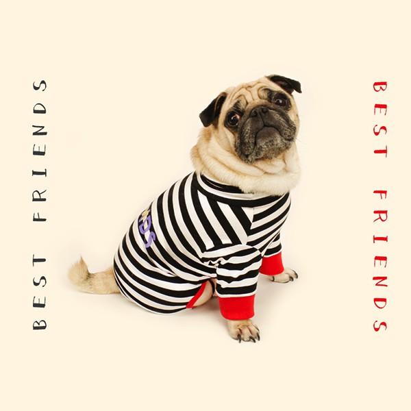 犬 服 ロゴプリントボーダーロンパース S Sm M L Xl Xxl 犬服 犬の服 ドッグウェア 秋 冬 ボーダー カバーオール つなぎ 綿100 伸縮性抜群 Buyee Buyee Japanese Proxy Service Buy From Japan Bot Online