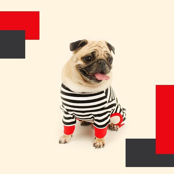 犬 服 ロゴプリントボーダーロンパース S Sm M L Xl Xxl 犬服 犬の服 ドッグウェア 秋 冬 ボーダー カバーオール つなぎ 綿100 伸縮性抜群 Buyee Buyee Japanese Proxy Service Buy From Japan Bot Online