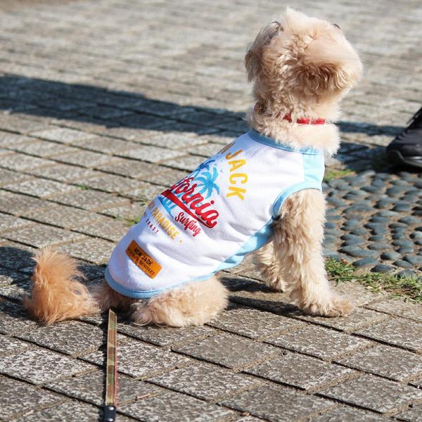 クーポンで最大500円OFF NEW JACK ニュージャック エアー