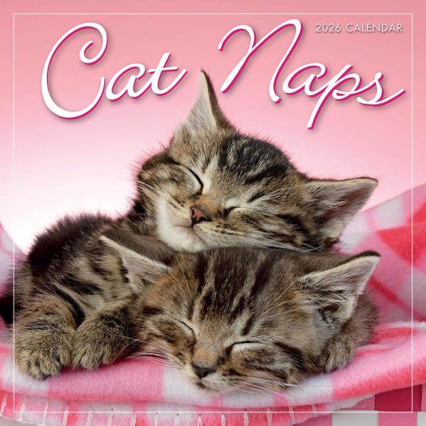 Cat Naps 2026年ミニカレンダー、7インチ x 7インチ