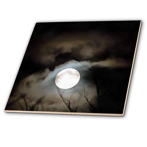 3dRose Winter Solstice Moon 12 Inch Ceramic Tile