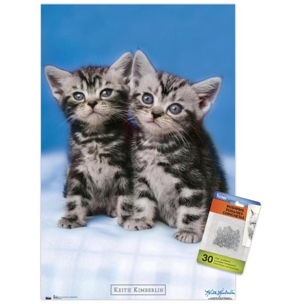 Trends International Keith Kimberlin - Kittens - Twins Wall Poster, 14.72" x 22.37", Premium Poster ＆ Push Pin Bundle