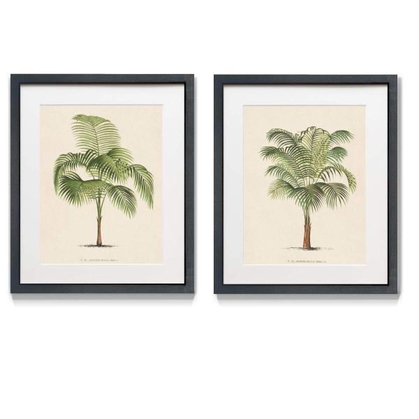 Renditions Gallery Palm Trees I 2 Framed Artwork Set, Colorful Floral, Botanical, Flower Art, Tropical Green Yellow, Black Matte Frame, White Mat, Ple