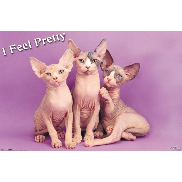 Trends International Keith Kimberlin - Kittens - Pretty Kitty Wall Poster, 19L x 13W, Premium Unframed Version