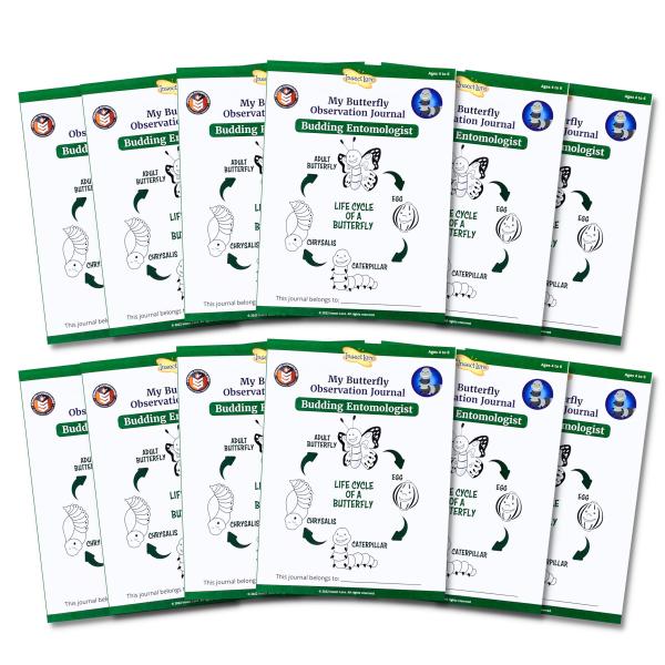 Insect Lore Budding Entomologist Activity Journals | 12 Journal Classpack | Ages 3-8 | Class Set of STEM Learning Booklets