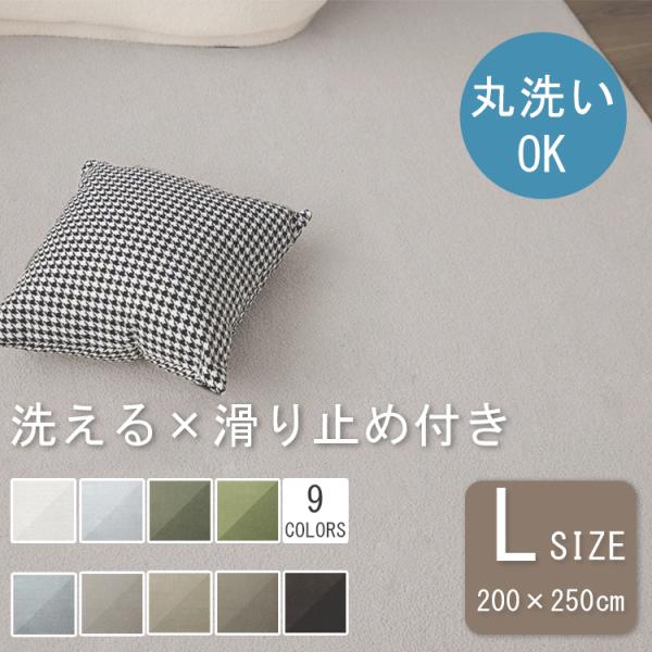 カーペット ラグ 洗える 200*250 ２畳半用 シンプル 洗えるラグ ふかふか こどもに優しい じゅうたん 春夏秋冬 オールシーズン マット 敷物 ラグマット