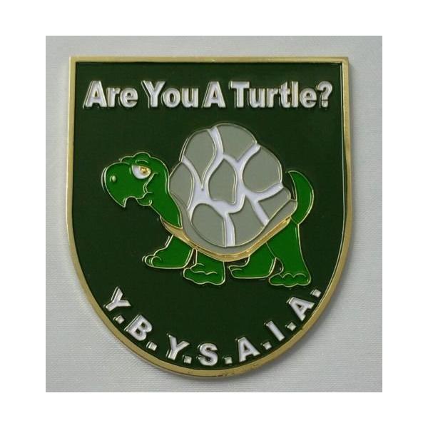 【並行輸入品】Mason Square Market are You A Turtle Car Emblem