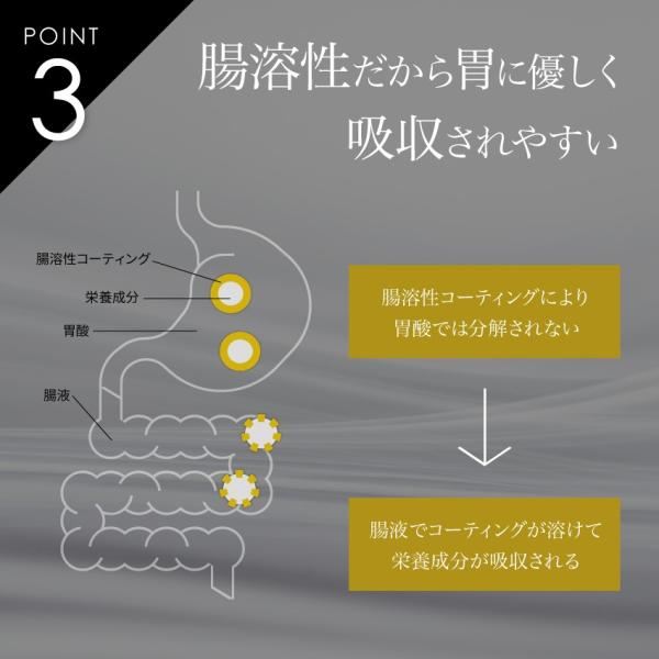 カルニチン 燃焼系 サプリ ベストパフォーマンス Lカルニチン 300mg 180粒 Buyee 日本代购平台 产品购物网站大全 Buyee一站式代购 Bot Online