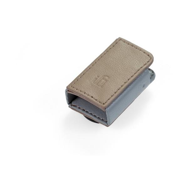 iFi Audio GO blu case GO blu��p�P�[�X �A�C�t�@�C�I�[�f�B�I
