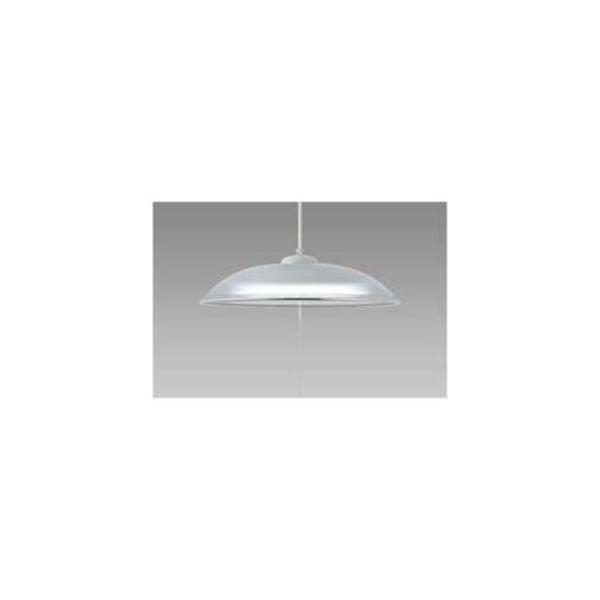 �z�^���N�X HCDB0853-X LED�y���_���g���C�g�i�`8��j �����F �X���[�N