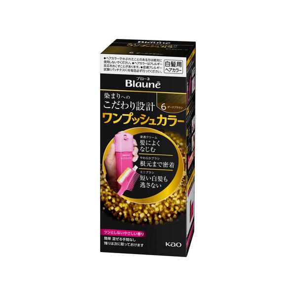 花王 【ブローネ】ワンプッシュカラー 6 ダークブラウン