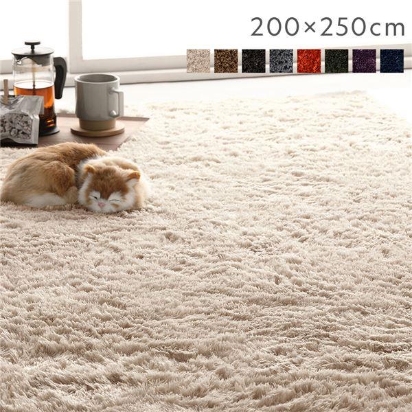 ラグマット 絨毯 約200×250cm 約3畳 長方形 洗える 滑り止め付 ラグマット 絨毯 約200×250cm 約3畳 長方形 洗える 滑り止め付