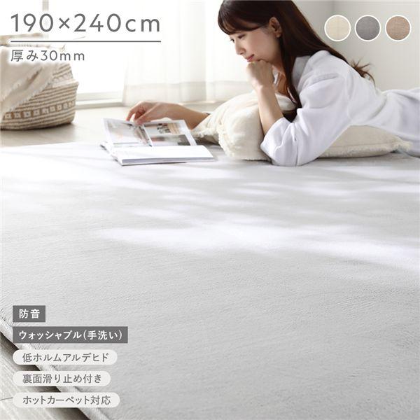 RASIK（ラシク） もっちり 防音 ラグ 約190×240cm ウレタン フランネル