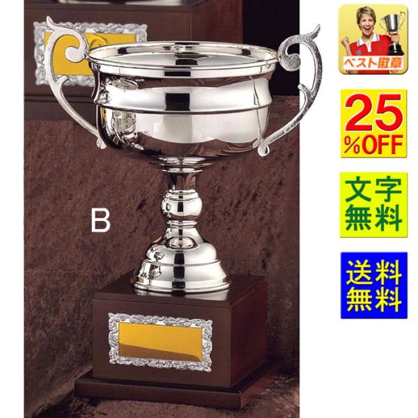 DJbv@325yz25OFF@Vo[DJbv@@gtB[ 싅@TbJ[@o@_@@{EO@ NS305-B