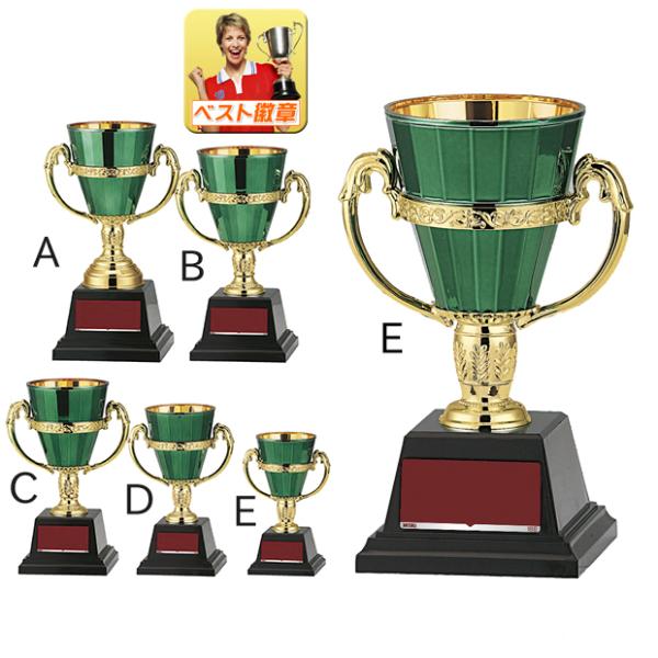 DJbvyz145mm@J[@DJbvSt@DgtB[@싅@TbJ[@o@_@@{EO@W-FC155-E