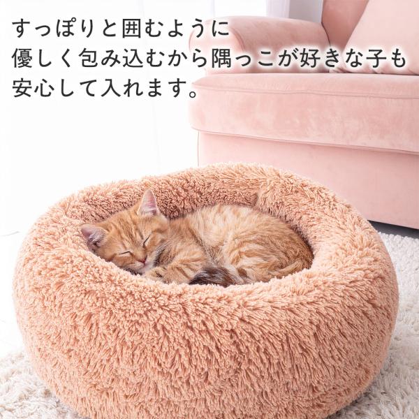 bestanswe_pet-097-1_2_d_20251111152115