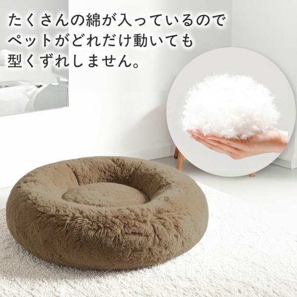 bestanswe_pet-097-1_3_d_20251111152111