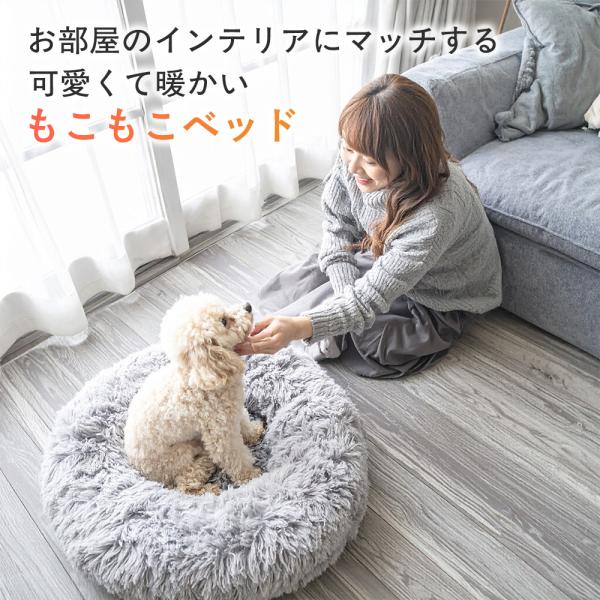 bestanswe_pet-097-2_1_d_20251111165211