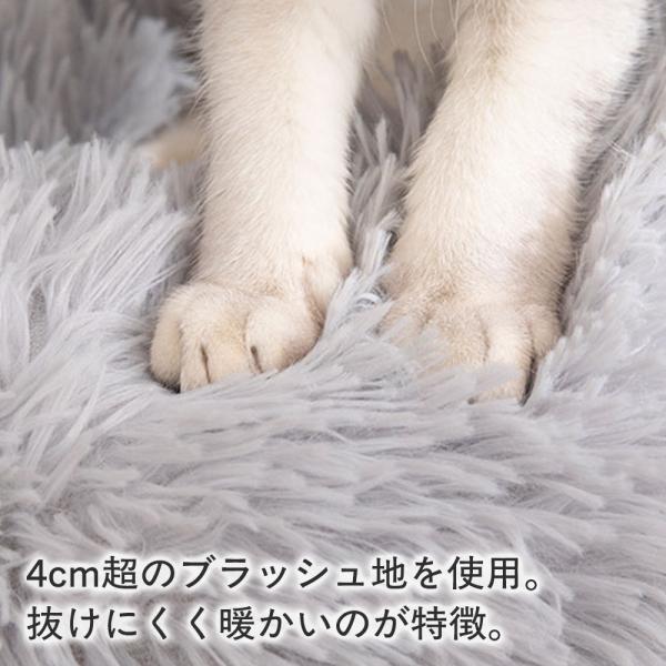 bestanswe_pet-097-4_5_d_20251111170920