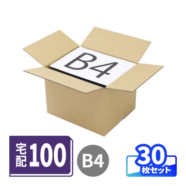 ダンボール 段ボール箱 宅配 100 サイズ B4 30枚 (0007)