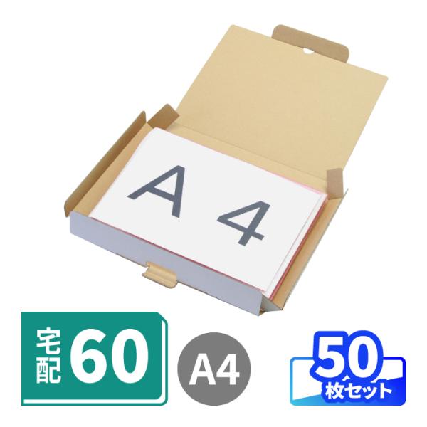 ダンボール 段ボール箱 白 宅配 60 サイズ A4 薄型 50枚 (0140)