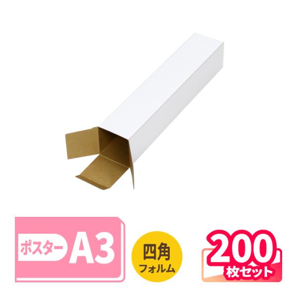 bestcarton-shop_1401