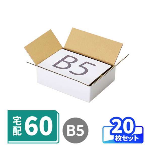 ダンボール 60サイズ 段ボール B5 薄型 20枚 白｜264×194×74mm（1684）