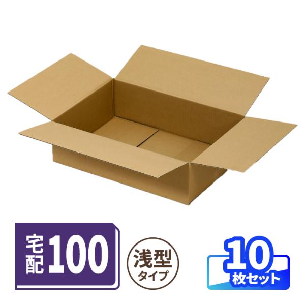 ダンボール 段ボール箱 100サイズ 宅配100 浅型 中型 3辺合計100cm 梱包 発送 収納 梱包資材 クラフト 茶色 [SKM] 10枚 ｜487×342×139mm（1895）