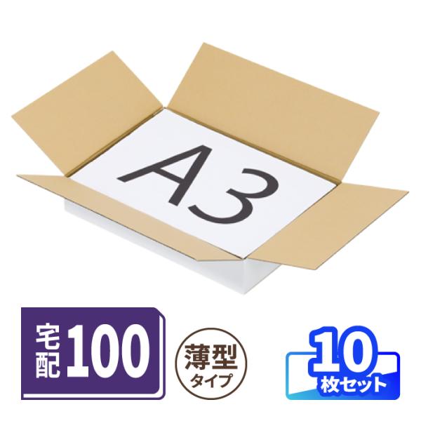 薄型 ダンボール 100サイズ A3 10枚 白 ｜430×310×75mm 宅配 発送 ギフト 宅配 ヤマト 宅急便 ヤマト運輸（2232）