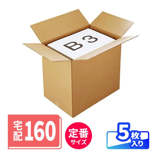 アースダンボール ダンボール 段ボール箱 160 サイズ B3 引っ越し 国際