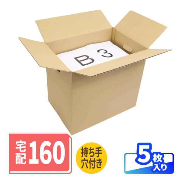 アースダンボール ダンボール 段ボール箱 B3 160サイズ 引越 宅配 発送