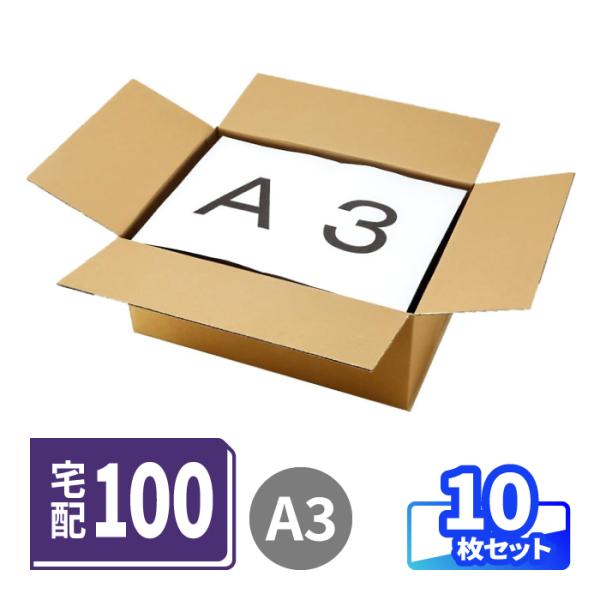100サイズ ダンボール A3 10枚 ｜440×310×180mm 段ボール箱 宅配 発送 段ボール 100 宅配100 （0493）