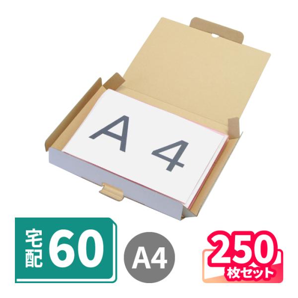 ダンボール 段ボール箱 白 宅配 60 サイズ A4 薄型 250枚 (5140)