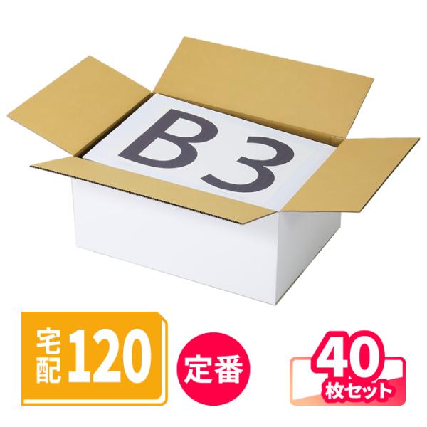 詰め放題　【120サイズ】③ アースダンボール 120サイズ ダンボール B3 40枚 ｜ 535×385×240mm