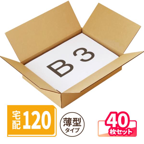 アースダンボール 薄型 ダンボール 120サイズ B3 40枚 ｜530×380×120mm