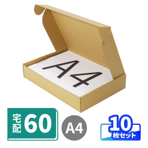 アースダンボール ダンボール 段ボール箱 60サイズ A4 薄型 宅配 発送