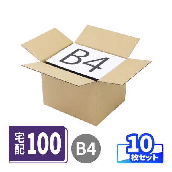 ダンボール 段ボール箱 宅配 100 サイズ B4 10枚 (0007)