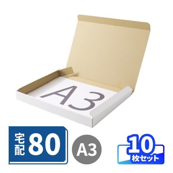 ダンボール 段ボール箱 80サイズ A3 薄型 宅配 発送 白 10枚 ｜430×305×40mm（0750）