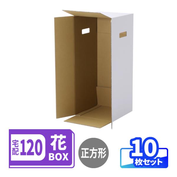アースダンボール ダンボール 段ボール箱 120サイズ フラワーボックス