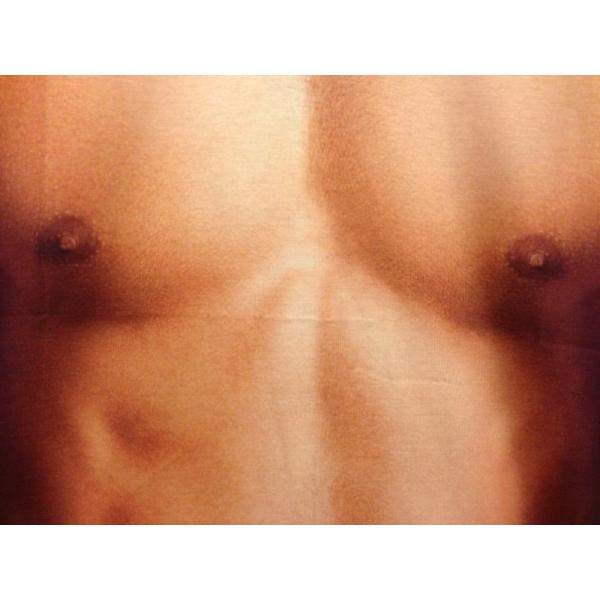 男の裸 マッチョ 筋肉 ムキムキ Tシャツ 男女兼用 Lサイズ 裸の上に着るハダカ 面白 イベント コスプレ グッズ 衣装 L Buyee Buyee Japanese Proxy Service Buy From Japan Bot Online