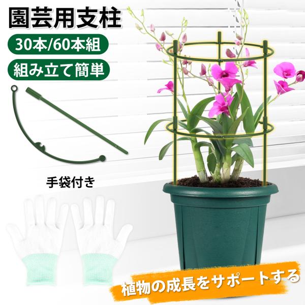 品名：園芸用支柱セット材質：プラスチックカラー：グリーンサイズ：画像参照梱包内容：支柱×30/60、ハンガー×30/60、手袋【自由に連結・多形状に対応】支柱とハンガーを組み合わせて、単独・タワー型・サークル型・直線型など様々な形にアレンジ...