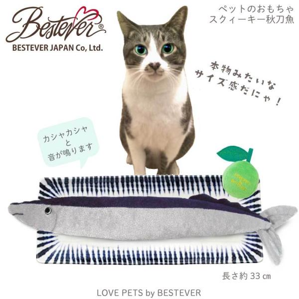 �yBESTEVER�z�� �������� �y�b�g �g�C ������ �ꏏ�ɗV�� ���Ǝ��ԁyLOVE PETS by BESTEVER�z �H���� �T���}�@ ���i�摜3