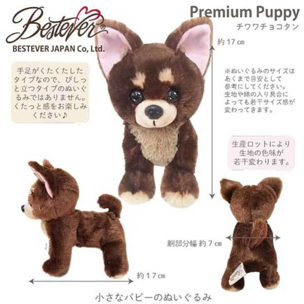 �yBESTEVER�z�� �ʂ������ ���A�� �e��  �y Premium Puppy �v���~�A�� �p�s�[�z�`���� �X���[�X �`���R�^�� ���i�摜1