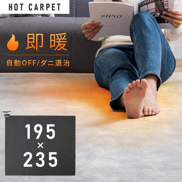 TEKNOS 電気カーペット HC-IR300 3畳 ホットカーペット 3畳 195×235cm ダニ退治 折り畳み コンパクト