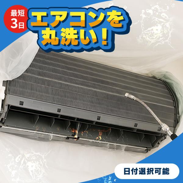 [検索用：エアコン クリーニング 家庭用 お掃除機能なし 対象 掃除 清潔 スチーム除菌 防カビコーティング カビ 自動清掃なし アイリスオーヤマ ]