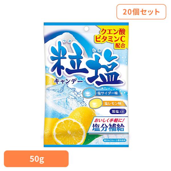扇雀飴本舗 塩分 スポーツ 猛暑 災害 太陽 気温 夏 (20個)粒塩キャンデー 扇雀飴本舗