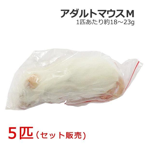 送料は冷凍商品の為、地域別で異なります。価格は注文承諾後メールにてご連絡いたします。※代引き手数料はヤマト運輸のものとなります。■ご注意■午前中までにご入金が確認できれば当日発送が可能です。それを過ぎますと翌営業日からの発送となります。土日...